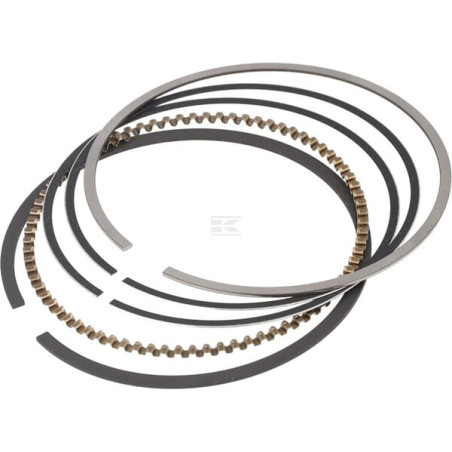 Jeu de bagues BRIGGS & STRATTON 592957