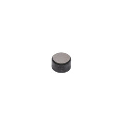Bouchon de valve BRIGGS & STRATTON 590649