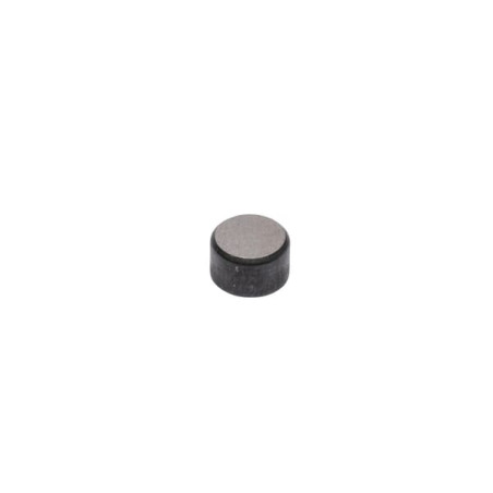 Bouchon de valve BRIGGS & STRATTON 590649