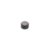 Bouchon de valve BRIGGS & STRATTON 590649