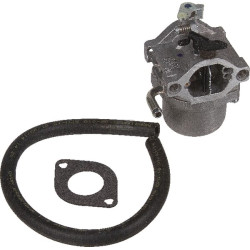 Carburateur BRIGGS & STRATTON 593432