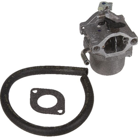 Carburateur BRIGGS & STRATTON 593432