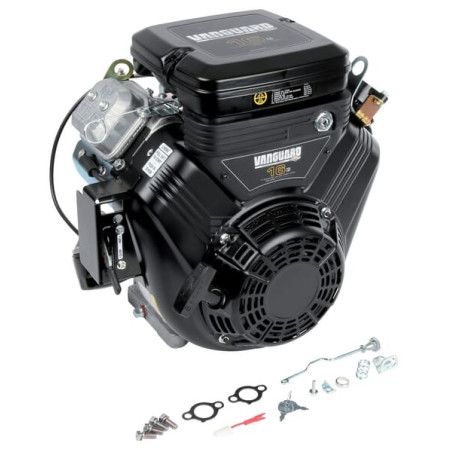 Moteur BRIGGS & STRATTON 6134774208J1