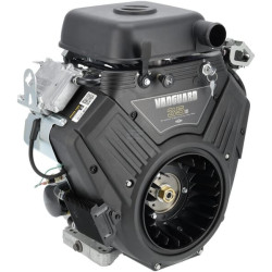 Moteur BRIGGS & STRATTON 6134774213J1