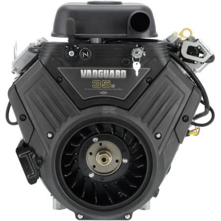 Moteur BRIGGS & STRATTON 6134774213J1