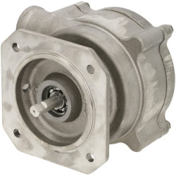 Pompe BATTIONI PAGANI 6080200203