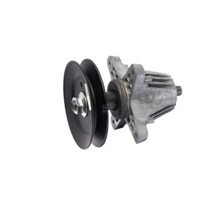 Assemblage MTD 61806980