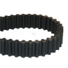 Courroie WOLF-GARTEN 6205348