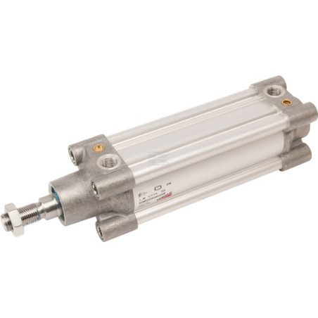 Vérin CAMOZZI 63MP2C050A0100R