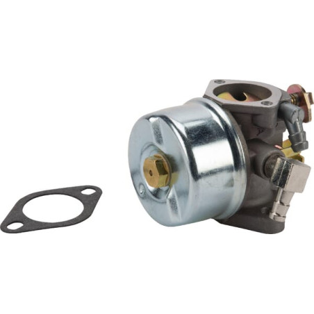 Carburateur adapté TECUMSEH 640152AKR