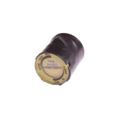Manomètre KÄRCHER 64212050