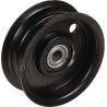 Poulie tendeur MTD 75604224 - 756-04224