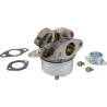 Carburateur adapté TECUMSEH 632795AKR