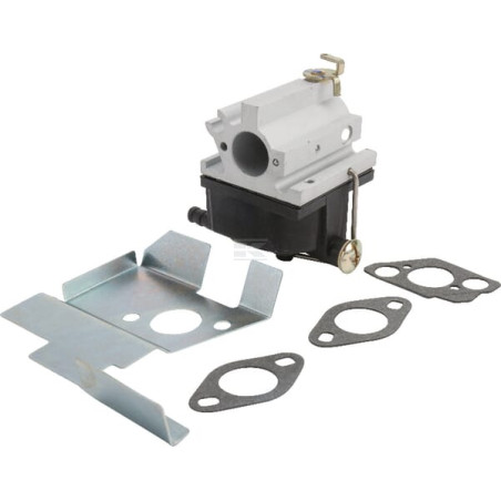 Carburateur adapté TECUMSEH 632671CKR
