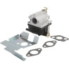 Carburateur adapté TECUMSEH 632671CKR