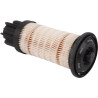 Filtre LANDINI 6516149M91
