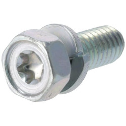 Vis BRIGGS & STRATTON 690341