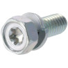 Vis BRIGGS & STRATTON 690341