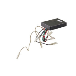 Module d'allûmage BRIGGS & STRATTON 690669