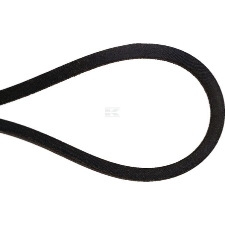 Courroie WOLF-GARTEN 6912513