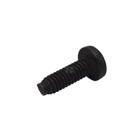 Vis BRIGGS & STRATTON 696255