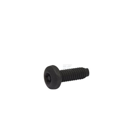 Vis BRIGGS & STRATTON 696255