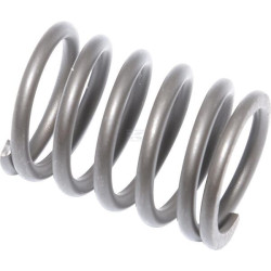 Soupape BRIGGS & STRATTON 694865