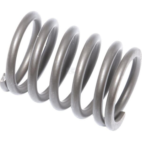 Soupape BRIGGS & STRATTON 694865