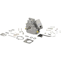 Bloc BRIGGS & STRATTON 699579A