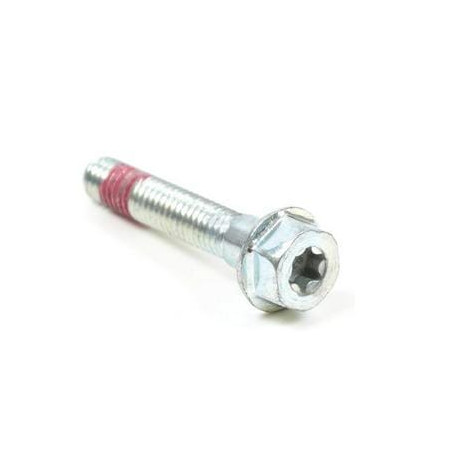 Vis BRIGGS & STRATTON 699484