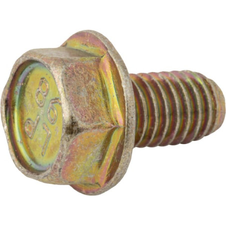 Vis BRIGGS & STRATTON 699491