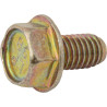 Vis BRIGGS & STRATTON 699491