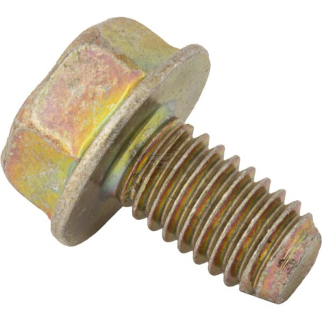 Vis BRIGGS & STRATTON 699491