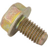 Vis BRIGGS & STRATTON 699491
