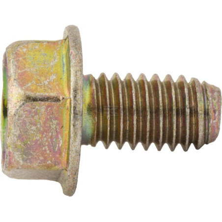 Vis BRIGGS & STRATTON 699491