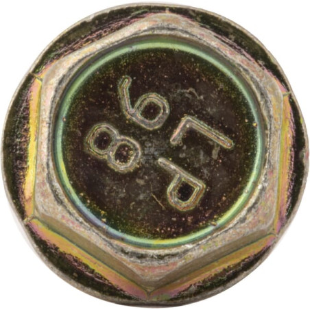 Vis BRIGGS & STRATTON 699491