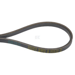 Courroie WOLF-GARTEN 6925515