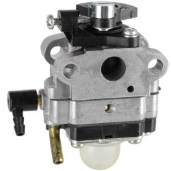 Carburateur BRIGGS & STRATTON 696949