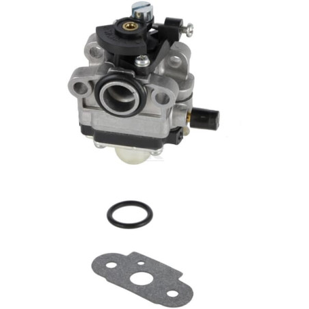Carburateur BRIGGS & STRATTON 696949