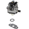 Carburateur BRIGGS & STRATTON 696949