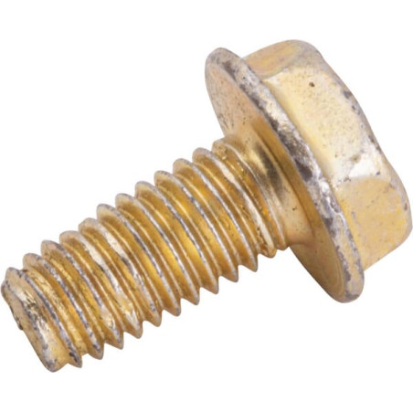 Vis BRIGGS & STRATTON 699234