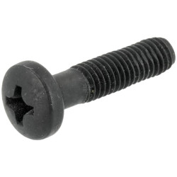 Vis BRIGGS & STRATTON 698589