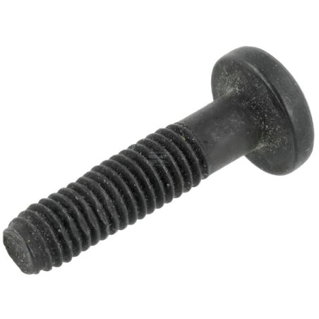 Vis BRIGGS & STRATTON 698589