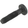 Vis BRIGGS & STRATTON 698589