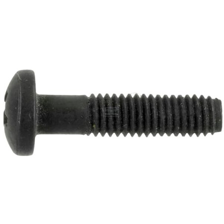 Vis BRIGGS & STRATTON 698589