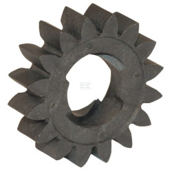 Pignon BRIGGS & STRATTON 695708