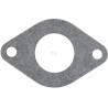 Kit d'étanchéité BRIGGS & STRATTON 699822