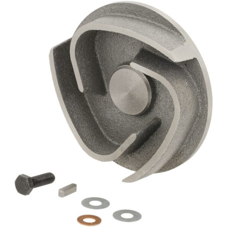 Kit-impeller BRIGGS & STRATTON 704132