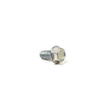 Vis BRIGGS & STRATTON 704130