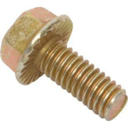 Vis BRIGGS & STRATTON 703354